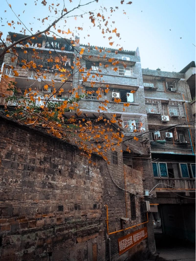 1749205412113883.jpg 1748401523857.jpg